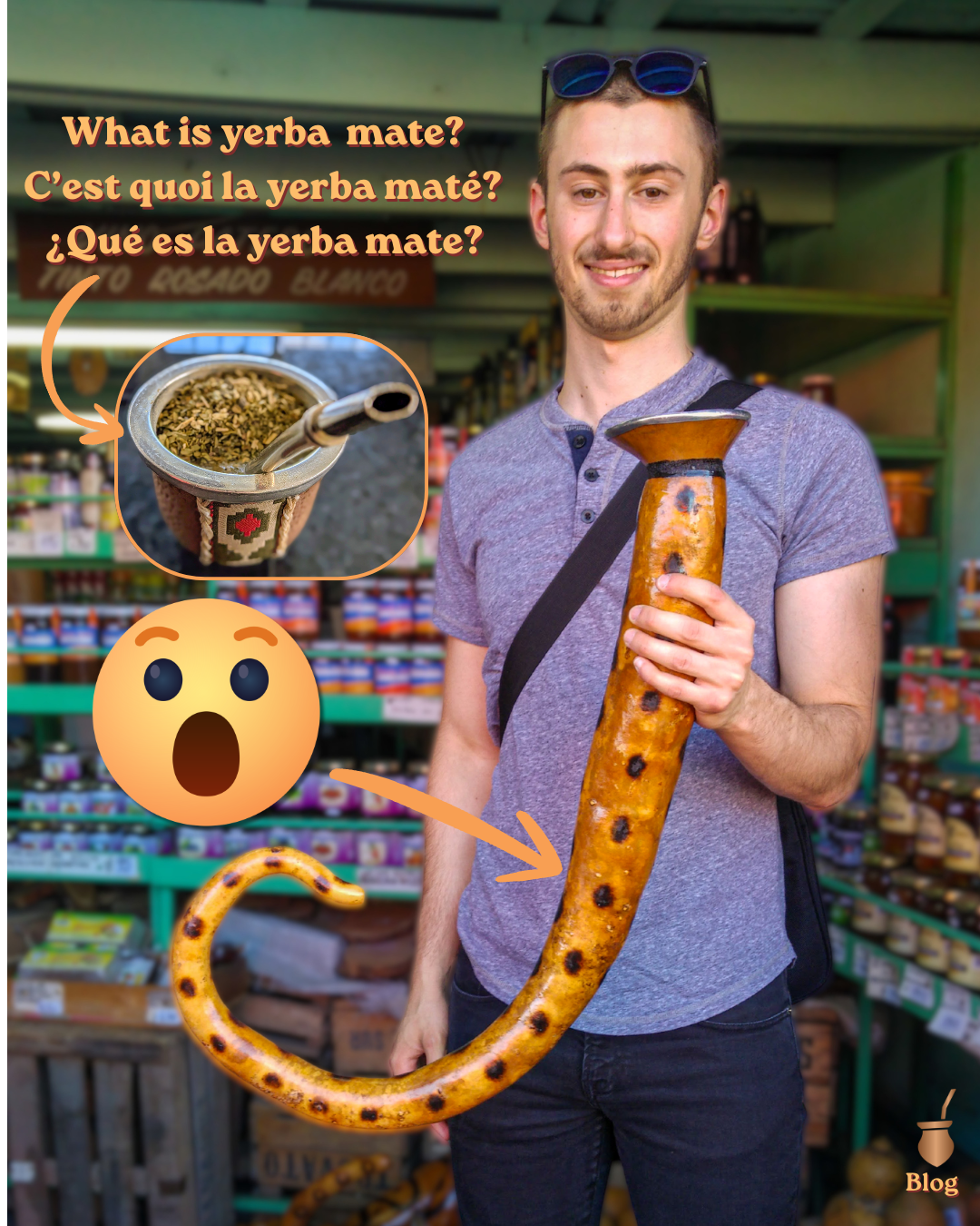 What Is Yerba Mate? The Infusion That Started It All For Me